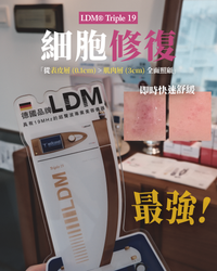 《新療程預購優惠》LDM® Triple 19 地表最強細胞機 (買6送1)